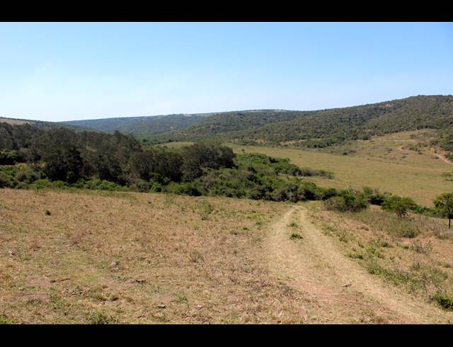 226HA FARM FOR SALE IN KOMGA RURAL